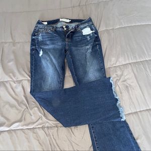 Torrid Jeans